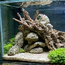 Complex aquascaping layout with intricate plant arrangements and hardscape