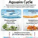 Illustrative diagram of an aquarium nitrogen cycle